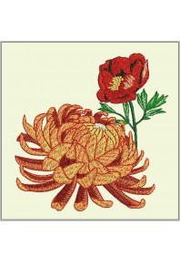 Plf043 - Pair Chrysanthemum and Poppy
